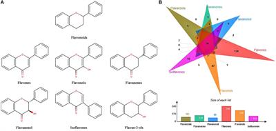 Exploring the Mechanism of Flavonoids Through Systematic Bioinformatics Analysis